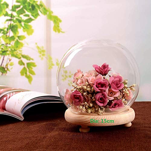 Warmiehomy Glass Bell Jar Dome with Wood Base Glass Domes for Display Suitable for Forever Flower Doll and Toys (Diameter 15cm)