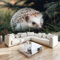 Fototapete 3D Gras Tiere Igel Vlies Tapeten Wandtapete 300x210 cm Moderne Wanddeko Design Wand Dekoration Wohnzimmer Schlafzimmer