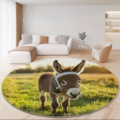 Generisch Runder Teppich Esel Muster 160 cm, Waschbar Grün Kurzflor rutschfest Weich Flanell Teppiche - für Wohnzimmer Schlafzimmer Esszimmer Kinderzimmer Flur