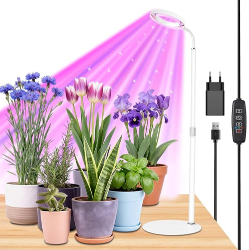 Czoumu Weißes Vollspektrum-Halo-Pflanzenlicht für den Schreibtisch, 8 W, höhenverstellbar 30–60 cm, 3/9/12-Stunden-Timer, 3-farbiger LED-Ring für Setzlinge und Sukkulenten