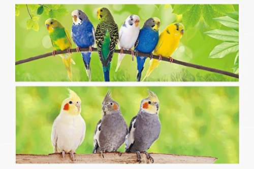 1x 3D Lesezeichen Sittiche 15x5cm Tiere Wackelbild Wackelkarte Buchzeichen Bookmark Bücher Buch Vögel