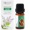 Essences Bulgaria Bio-Salbei Ätherisches Öl 10ml | Salvia officinalis | 100% Naturrein | Unverdünnt | BIO-zertifiziert | Spitzenqualität aus Familienbetrieb | Ohne Gentechnik | Vegan