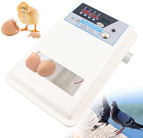 Eierbrutschrank Inkubator, Vollautomatische Brutmaschine 24 Eier Brutapparat, Kleine Geflügelluken Temperatur- und Feuchtigkeitskontrolle für Hühner Taube Wachtel Vogel