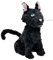 JUSONGKWCP Peluche Coralin and The Cat, Bambola Gatto Nero Figurine, 30 Cm / 11.8 Pollici Decorazioni Peluche, Cartoon Film Coralin Merch