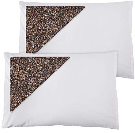 Daiwa Felicity 100% Natural Premium Buckwheat Sobakawa Pillow with Pillow Protective Cover (2 Pack)