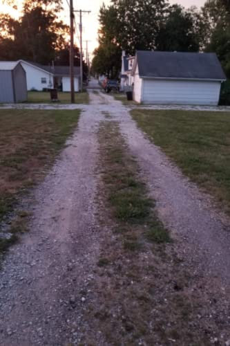 Twilight Alley Notebook