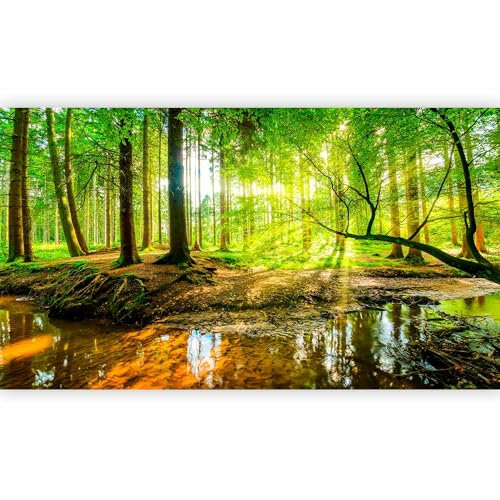 murando Fototapete XXL Wald 500x280cm Foto Tapete Schlafzimmer Wohnzimmer Vliestapete XXL Wandtapete Motivtapeten Bildtapete 3d Effekt Wand Dekoration - Natur Baum grün Landschaft Sonne c-B-0241-a-b