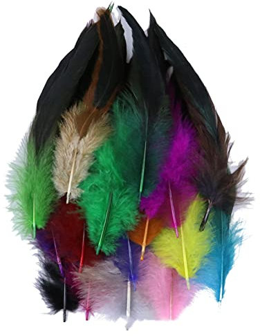 Surakey 100 Stück Basteln Federn,Bunte Hahnenfedern,14-20CM DIY Bastelfedern für Bastelprojekte Traumfänger DIY Ohrringe Faschingskostüme Party Hüte Masken Schmuckstücke Ostereier Deko Fasanfedern