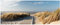 Wallario Glasbild Auf dem Holzweg zum Strand - 32 x 80 cm Wandbilder Glas in Premium-Qualität: Brillante Farben, freischwebende Optik