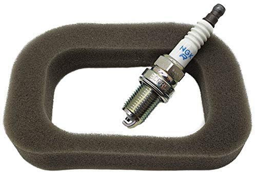 Mountfield Castel Garden RS100 Sponge Air Filter & Plug Service Kit 118550704/0