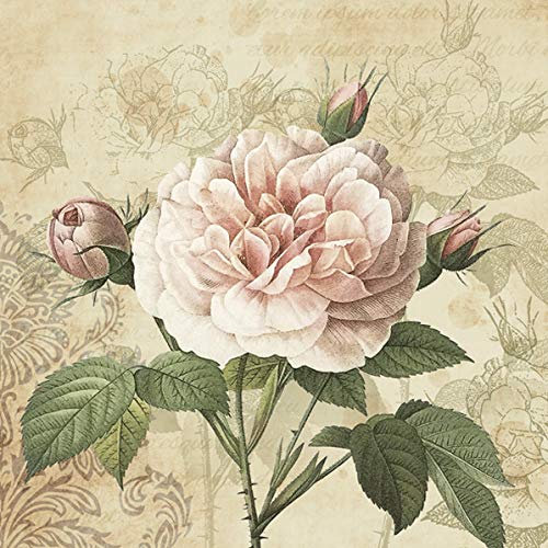 20 Servietten Vintage Rose an Ornamente | Blumen | Decoupage 33x33cm