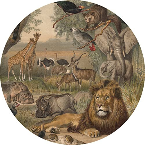 WallArt Tapete Kreis, Tiere Afrika, Ø 190,0 cm I Einzigartige und stilvolle runde Tapete, die Ihre Wände zum Leben erwecken