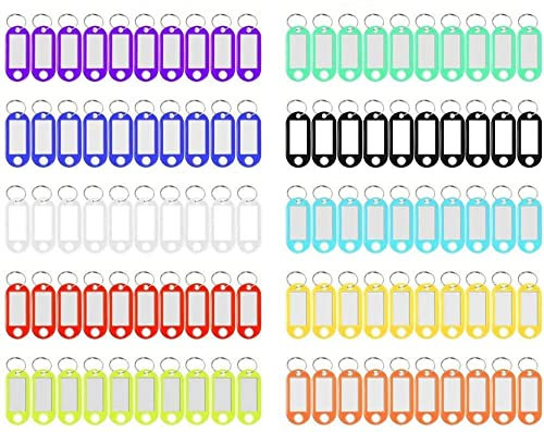 QRTSJ Lot de 100Porte-clés Étiquette,Porte Clés Couleur Étiquettes avec Porte Clé Étiquettes Porte Clés pour Etiquette de Nom de Bureau d'hôtel Voyage Mémoire Bagagerie (10 Couleurs)