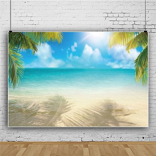 Mateju Meer Fotografie Hintergrund, Blauer Himmel WolkenStrand Fotoleinwand Hintergrund, Vinyl Fotohintergrund Tuch, Poster Foto Video Hintergrund Fotostudio Requisiten (4x2.5 FT,Stil H)
