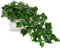 Hollyone Artificial Plants in Ceramic Pots, Fake Ivy Leaves Decorative Faux Potted Plants, Realistic House Plant Indoor for Home Décor, Bathroom, Living Room, Kitchen, Shelf Decorations