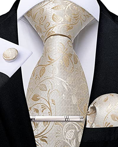 DiBanGu Champagner Paisley Krawatte für Herren formellen Seiden-krawatte und Einstecktuch Manschettenknöpfe Hochzeit Party Krawattenklammer Set