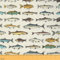 Loussiesd Fisch Stoff Meterware 92x150cm Fischen und Jagen Patchwork Stoffe für Stühle, Vintage Wasserdichter Outdoor Polsterstoff