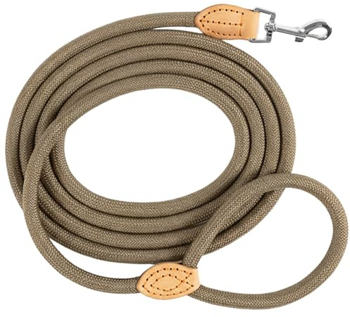 LeileiPaws Tauleine Hund – Nylon Hundeleine für kleine, mittelgroße & große Hunde – hundeleine leicht mit Schlaufe für kleinere Hunde, robuste Hundeleine große Hunde (Khaki, 3m x 1.2cm)