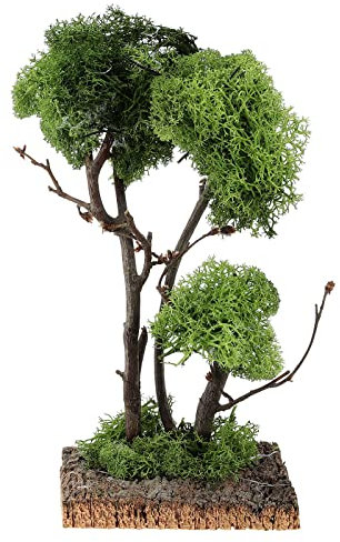 Holyart Albero con lichene su Roccia 13x8x8