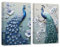 CXHOSTENT Pfauen-Bilder Wanddekoration 2 Paneele Elegante Pfauen-Leinwand-Kunst Tiere Gemälde Druck Moderne Wohnzimmer-Dekoration Rahmen (Pfau - 2, 30x40cmx2Pcs)