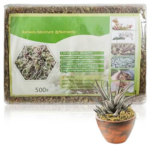 Sphagnum Moos, Orchideen Terrarium Blumenerde, Reptile Natürliches Sphagnum Deko, Zimmerpflanzen Feuchtigkeitsspendende Ernährung Organisches Torfmoos für Orchideen und Bonsai Reptilie (500g)