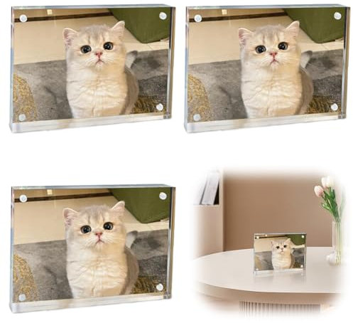 Leikurvo Lot de 3 cadres photo magnétiques en acrylique - 10 x 15 cm - Sans cadre - Double face - Transparent - Support magnétique - 5 mm d'épaisseur - Pour bureau