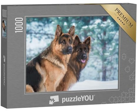 puzzleYOU: Puzzle 1000 Teile „Porträt von Zwei Deutschen Schäferhunden im Winter, schauen aufmerksam“ – aus der Puzzle-Kollektion Hunde, Schäferhunde