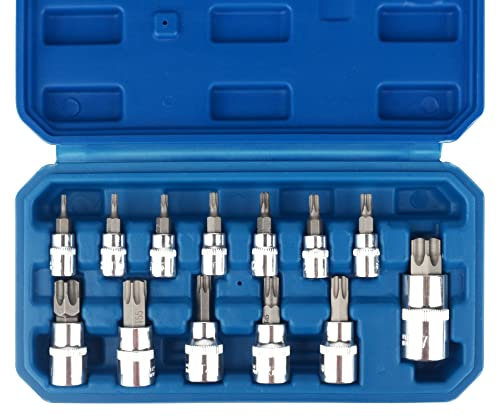 DAYUAN Torx Bit Socket Set 13pcs 3/8 Dr. T8 - T70 E Star Premium S2 Alloy Steel Cr-V Steel Star Socket Torx Bits Metric 1/4, 3/8 and 1/2-Inch Drive
