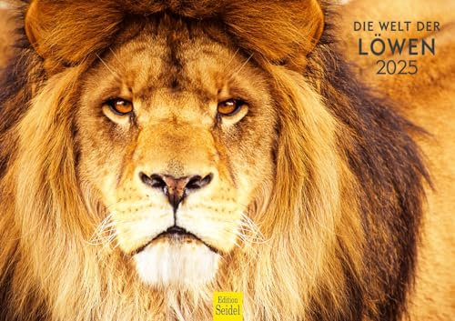 Edition Seidel Premium Kalender Die Welt der Löwen 2025 Format DIN A3 Wandkalender Tierkalender Afrika Wildtier Raubtier Katze Löwe Großkatze Tiger Gepard