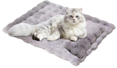 Hqunjikp Flaches Katzenbett – waschbares, warmes Kissen mit abnehmbarem Kissen, Katzenwärmkissen, Hundebett, Hundebett, für kleine, mittelgroße und große Welpen, Kätzchen, Innenbereich, Couch