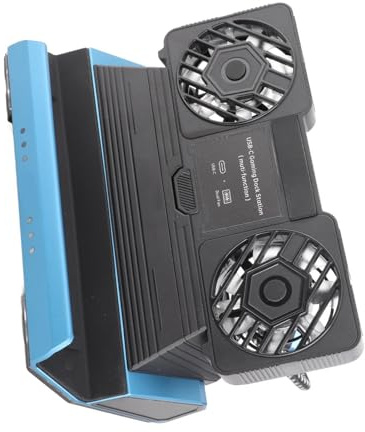 Denash Steam Deck Docking Station with Dual Cooling Fan and RGB Light Effect, 4K 60Hz Multimedia Interface Hub Dock for Handheld Gaming Console, USB C Game Console Dock for Gamers