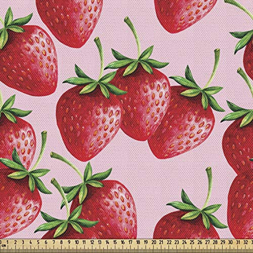ABAKUHAUS rot Stoff als Meterware, Saftige Erdbeeren Frucht, Qualitäts Stoff Dekorativer Polster Heimtextilienstoff, 2M (148x200cm), Grün Rosa Rot