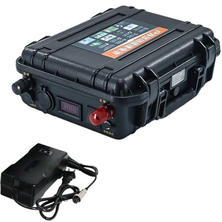 HSSYTZOUL 12V 24V Lithium-Batterie Antrieb Lithium-Batterie 100Ah-200Ah Eingebaute BMS Für Elektroboot Motor Fischerboot Propeller Marine Antriebsbatterie Mit Ladegerät,12v,120AH