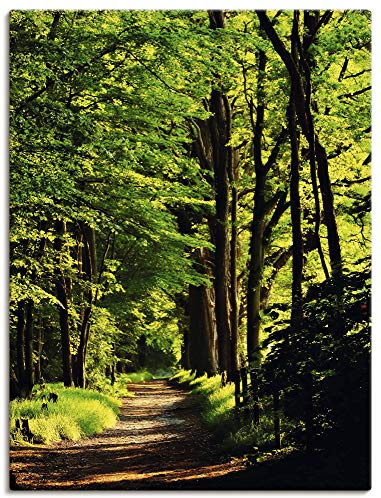 ARTLAND Wanddeko Leinwand Bilder Wandbild 60x80 cm Wald Landschaft Natur Frühling Sonne Bäume Landhaus T1UC