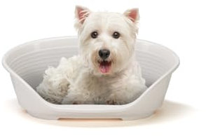 Ferplast Hundebett Katzenbett Kunststoff-Hundebett klein Hundeliege waschbar Hundekorb atmungsaktiv rutschfest Siesta Deluxe, 54 x 35 x h 21,5 cm, Weiss