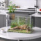 Small Fish Tank, Plastic Clear Micro Landscape Desktop Aquarium Betta Fish Tank Desktop Mini Fish Bowl, Fish Tank Aquarium Transparent Tank Kit Fish Bowl for Goldfish Shrimp Betta Fish Turtle(Black)