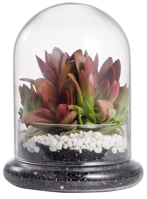 NCYP Petite Cloche de Terrarium décorative en Verre Transparent avec Trou d'aération Dôme de 12x12x16cm avec Socle pour Plantes succulentes Miniatures Rangement d'affichage (Plantes Non incluses)