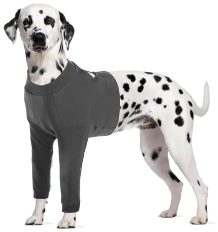 CITÉTOILE Hundebody Nach Op, Wundschutzanzüge für Hunde Mit Bein, Vornebeinschutz für Verletzung Hund, Anti-Wundlecken Op Body Hunde, E-Kragen Alternative, Grau, XL