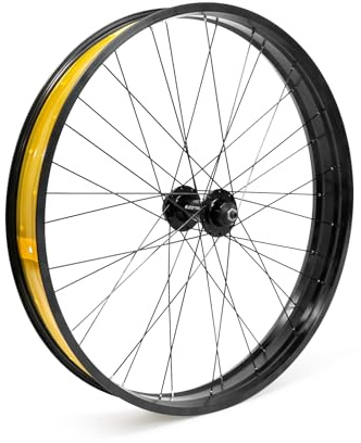 ZTZ 26 x 4.0 inch Fat Tire Ebike Front Wheel,QR 9x135mm