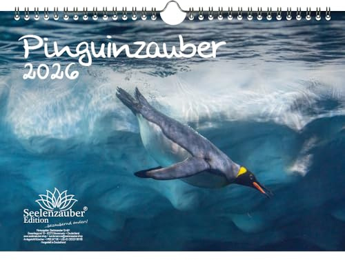 Pinguinzauber DIN A4 Kalender für 2026 Pinguin - Geschenkset Inhalt: 1x Kalender, 1x Weihnachtsanhänger (insgesamt 2 Teile)