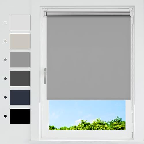HOMEDEMO Verdunklungsrollo ohne Bohren, Verdunkelungsrollo Klemmfix, Klemmrollo Fensterrollo Sonnenschutz und Sichtschutz, Rollos für Fenster & Tür,(Stoffbreite 80 cm),Hellgrau,B80 x H120 cm