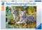 Ravensburger Puzzle 14793 - Weiße Raubkatze - 500 Teile Puzzle für Erwachsene und Kinder ab 10 Jahren, Tier-Puzzle mit Tiger-Motiv