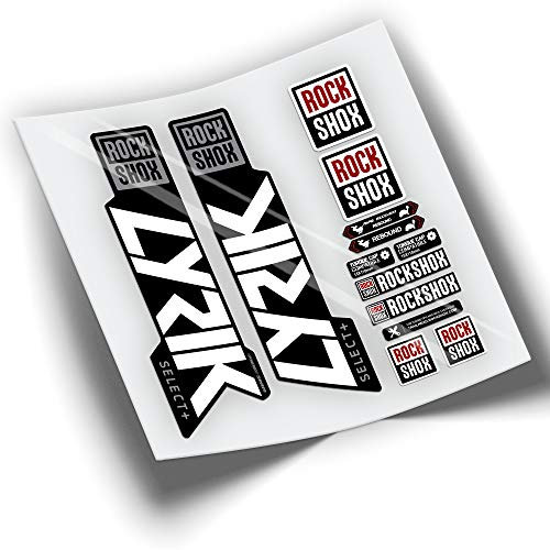 ROCKSHOX Lyrik Select Plus 2021 Bicolor WP373 Weiß 010