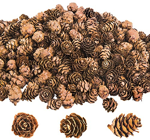 800 Pcs Christmas Natural Mini Pine Cones-Thanksgiving Pine Cone Ornaments