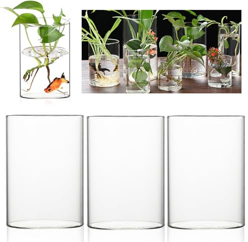 Glaszylinder Mit Boden, 3 Stück 10 * 15cm Zylindervase, Klarglas Glasvase Zylinder, Modern Zylindrisch Glasvase, Windlicht Glas Kerzenhalter, Satz Blumen Vasen Set Für Orchideen, Rosen, Tulpen, Kerze