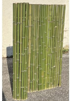 Bambusmatte grün 200x200cm mit 4-6cm Stangen von bambussi.com