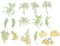 Gogogmee 60st Reise-Scrapbook-Aufkleber Kleine Aufkleber Selbstklebende Aufkleber Scrapbooking-Aufkleber Aufkleber Für Journaling Blumenaufkleber Zum Basteln Hübsche Aufkleber Plastik