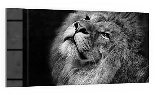 DEQORI WTD - Cuadro de cristal (100 x 50 cm), diseño de El rey de los animales