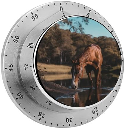Mechanischer Küchentimer, das Pferd trinkt, 60 Minuten Aufzieh-Timer, manueller Countdown-Timer mit Magnetfuß, visueller mechanischer Timer für Klassenzimmer, Zuhause, Studium und Kochen