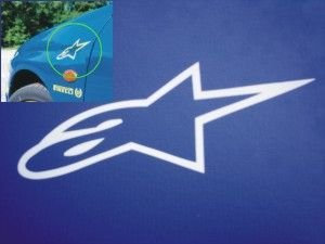 Alpin-Stern-Aufkleber für Auto, Fahrrad, Flügel, Spoiler, 2 Paar in Weiß